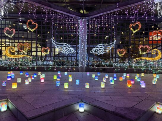 【報告】点灯セレモニー（たかのはらイルミネーション’25-26）