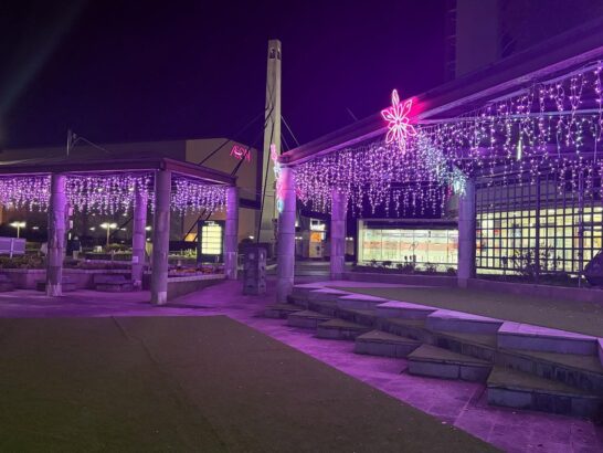 夜桜イルミネーション